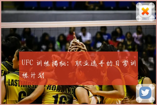 UFC 训练揭秘：职业选手的日常训练计划