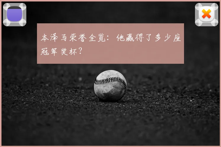 本泽马荣誉全览：他赢得了多少座冠军奖杯？