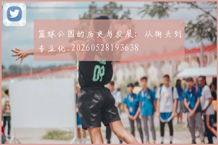 篮球公园的历史与发展：从街头到专业化_20260528193638