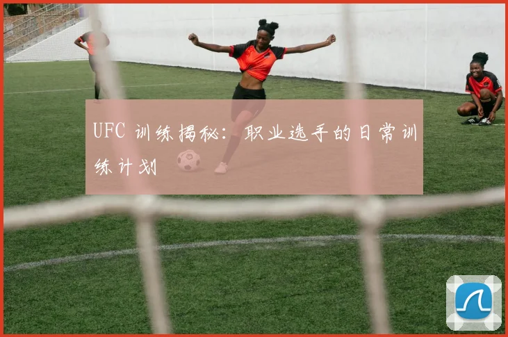 UFC 训练揭秘:职业选手的日常训练计划
